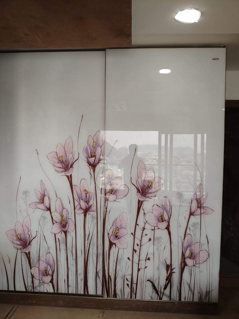 amazing-exclusive-designer-beautiful-lacquer-glass-wardrobes-in-gurgaon-gurgaon-best-dealers-and-manufacturers-in-gurgaon-india